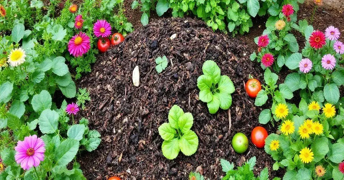 How to Make Homemade Compost: A Step-by-Step Guide to Success