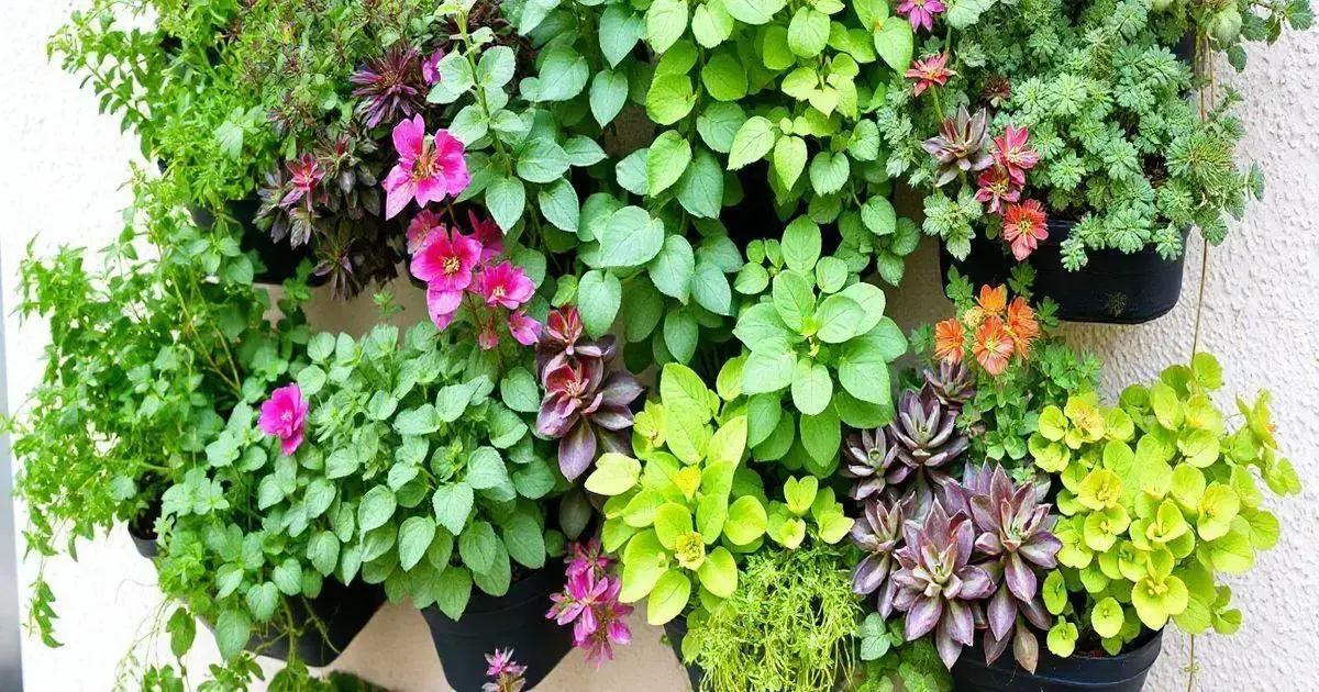 Selecting Plants for Your Vertical Garden