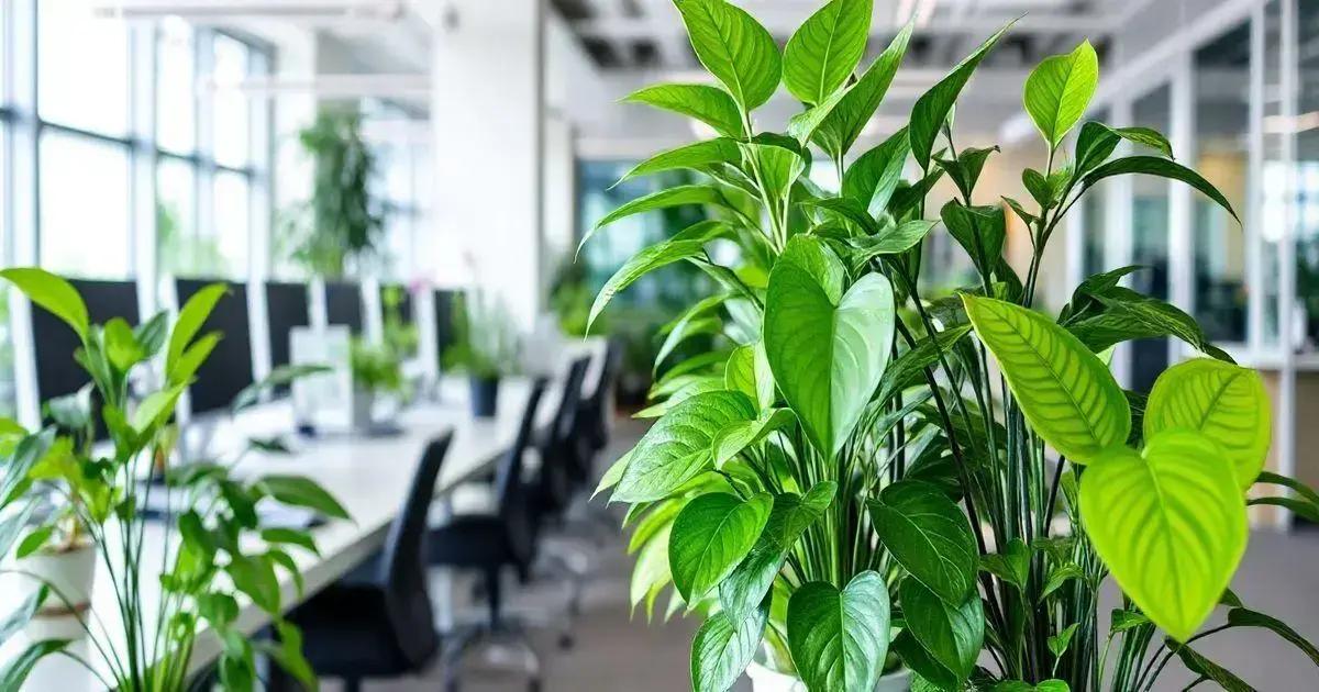 Tips for Caring for Office Plants