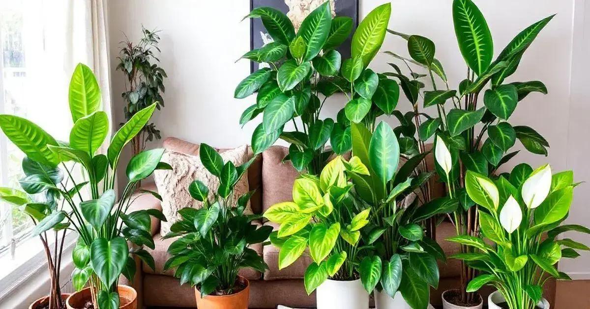 Top 10 Plants for Apartments