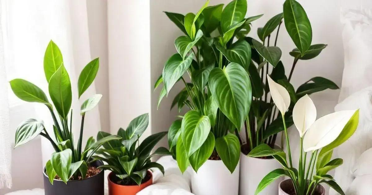 Top Plants for Small Bedrooms