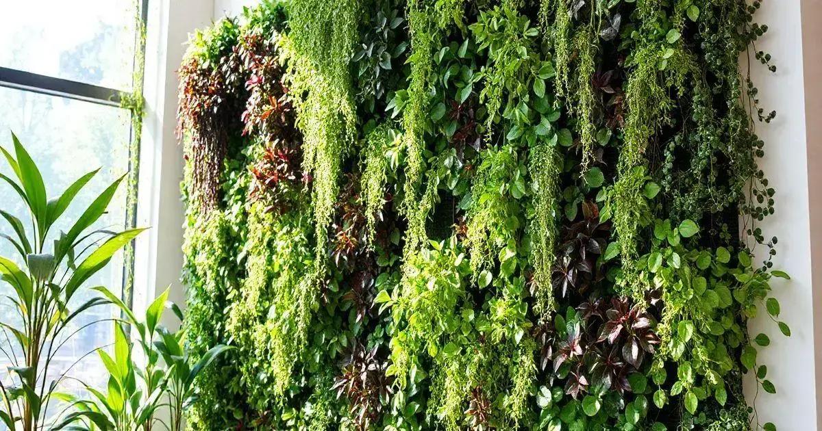 Understanding Vertical Gardens