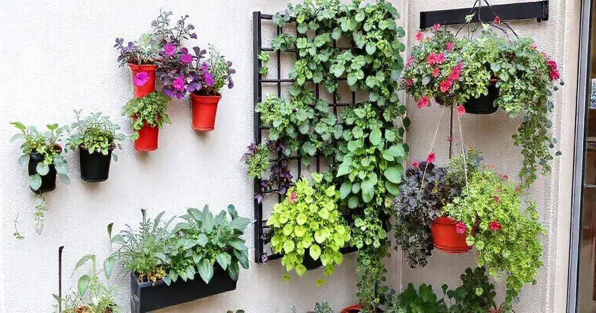 Vertical Gardening Techniques